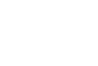 Logo Shopify